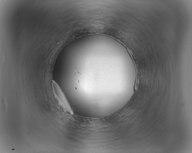 X0000073501057200608140902