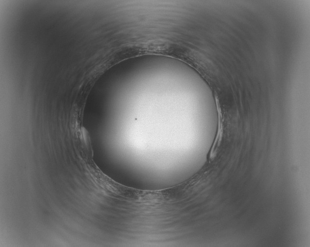 X0000073501058200608140902