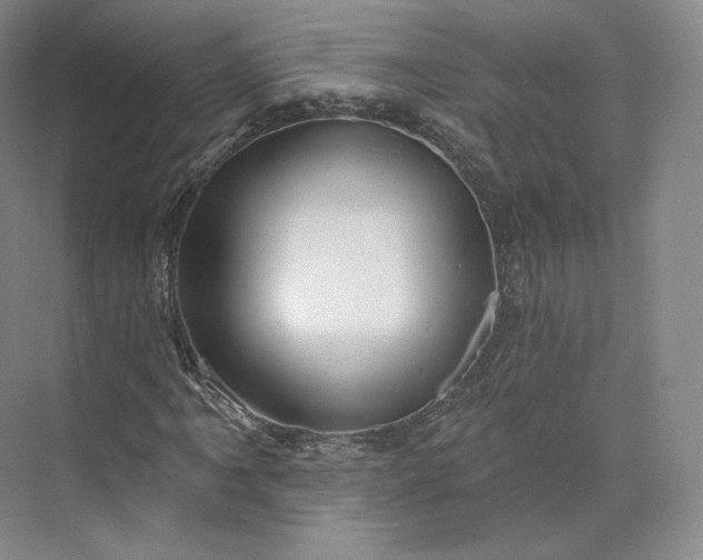 X0000073501061200608140902