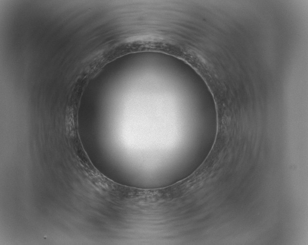 X0000073501062200608140902