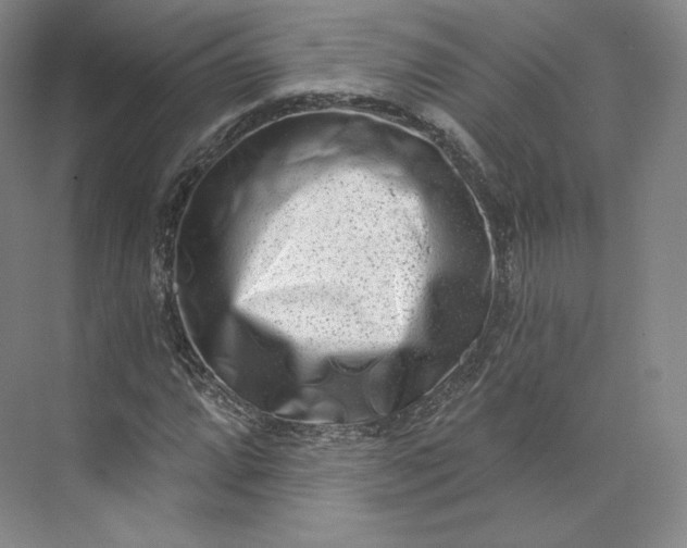 X0000073501064200608140902
