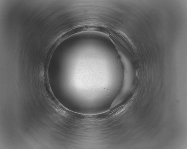 X0000073501065200608140902