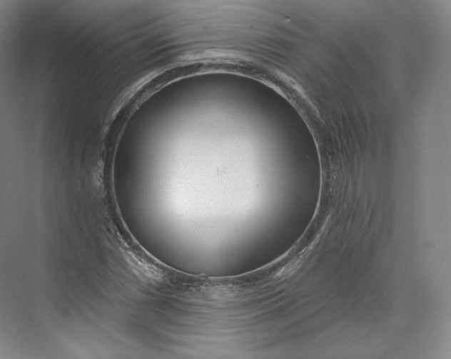 X0000073501066200608140902