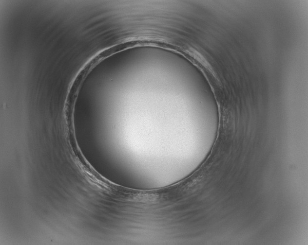 X0000073501068200608140902