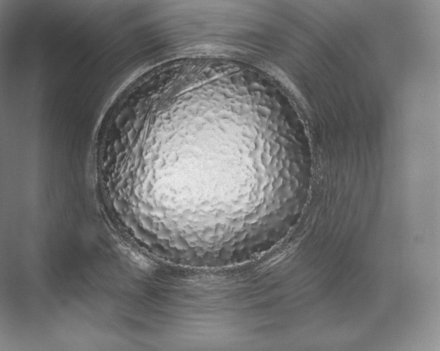 X0000073501075200608140902