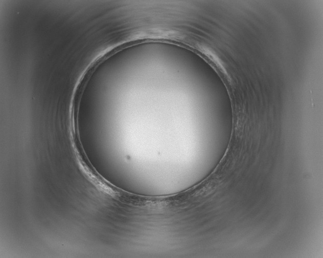 X0000073501080200608140902
