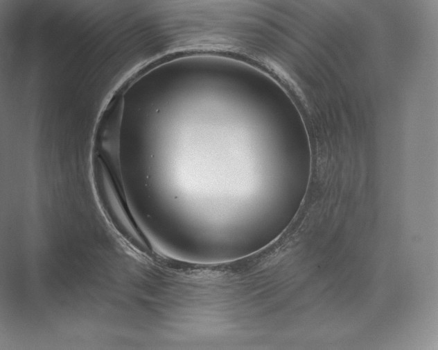 X0000073501085200608140902