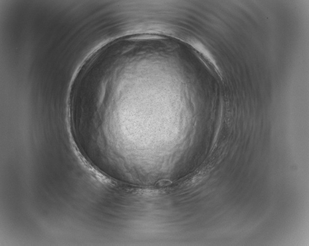 X0000073501088200608140902