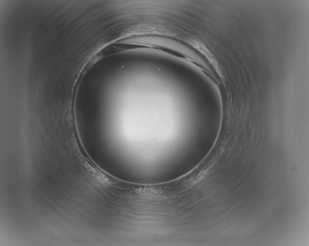 X0000073501089200608140902