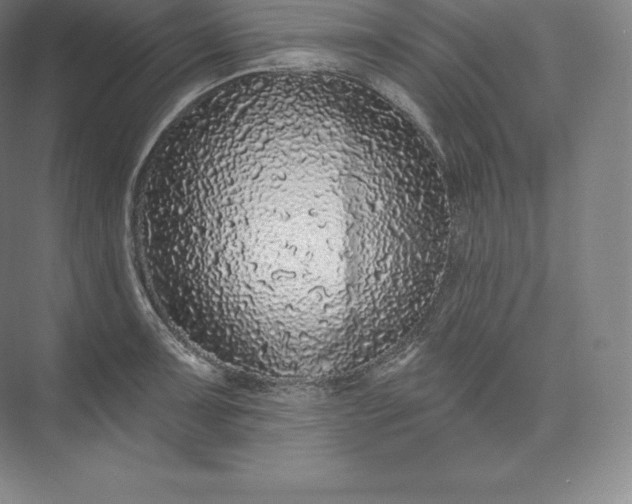 X0000073501091200608140902