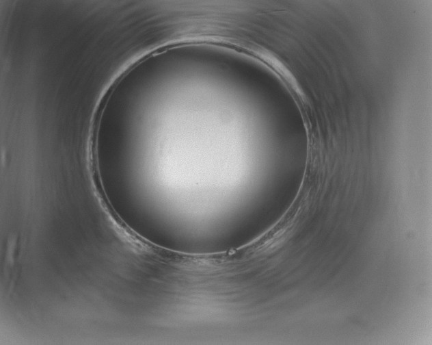 X0000073501101200608140901