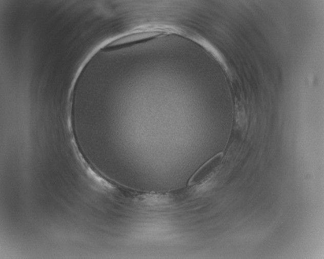 X0000073501102200608140901