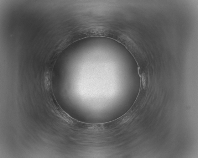 X0000073501107200608140901