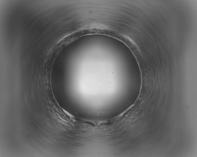 X0000073501112200608140901