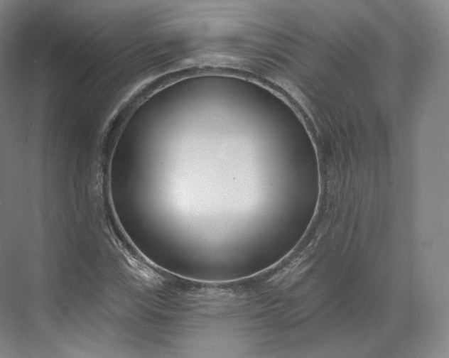 X0000073501115200608140901