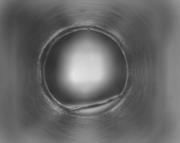 X0000073501118200608140901