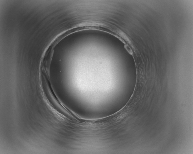 X0000073501124200608140901