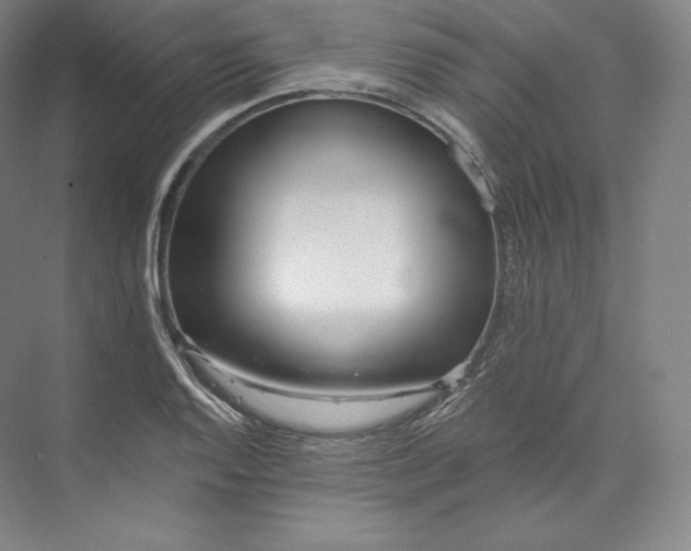 X0000073501128200608140901