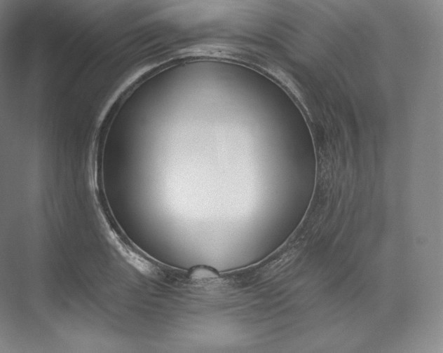 X0000073501131200608140901