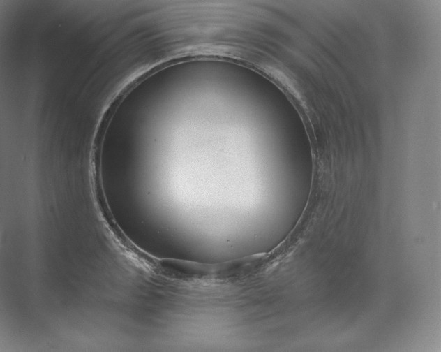 X0000073501133200608140901