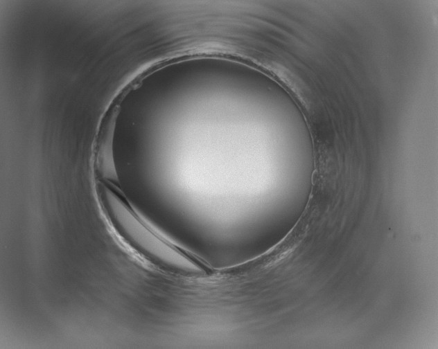 X0000073501134200608140901