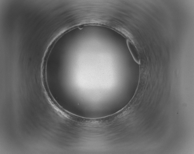 X0000073501135200608140901