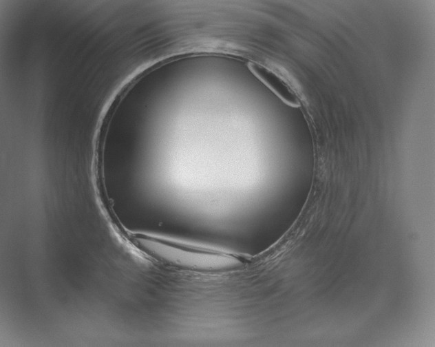X0000073501136200608140901
