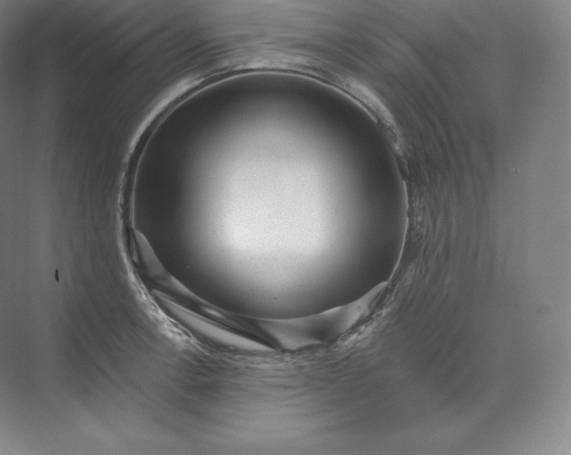 X0000073501138200608140901