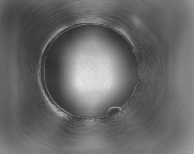 X0000073501139200608140901