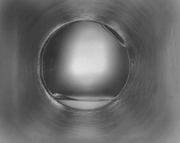 X0000073501143200608140901