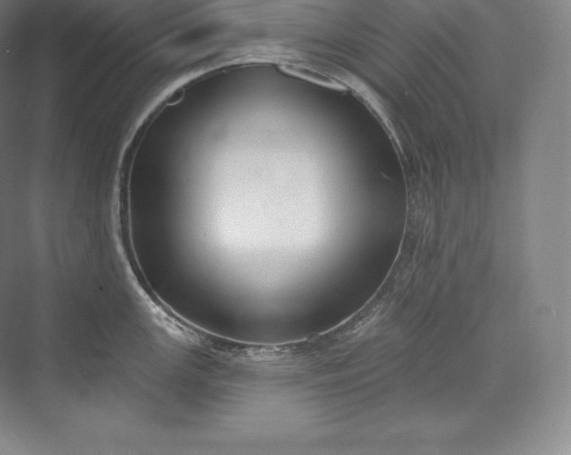X0000073501147200608140901