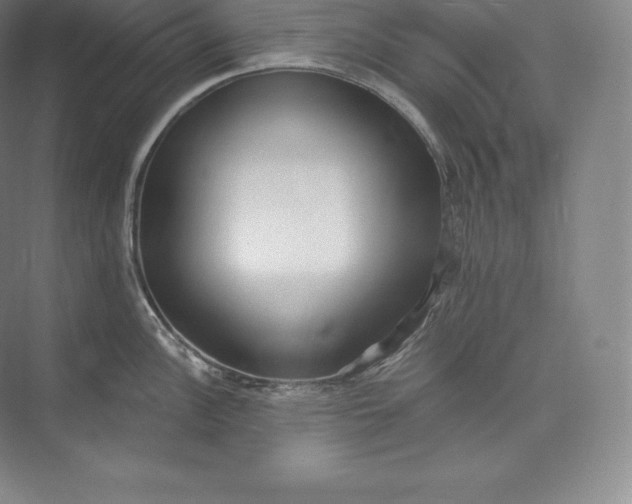 X0000073501148200608140901
