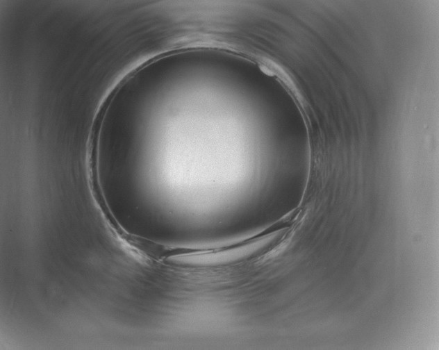 X0000073501149200608140901