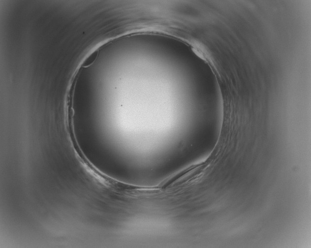 X0000073501151200608140901