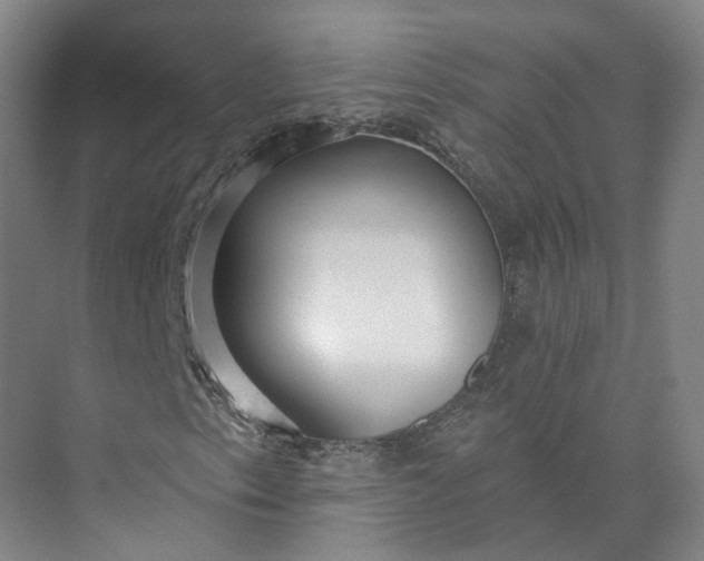 X0000073501153200608140901