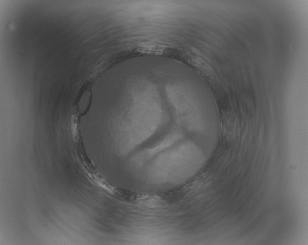 X0000073501154200608140901