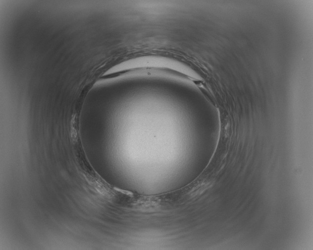 X0000073501156200608140900