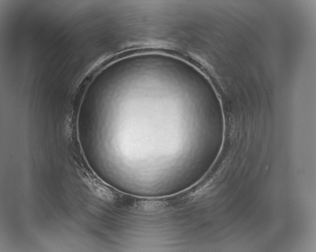 X0000073501163200608140900