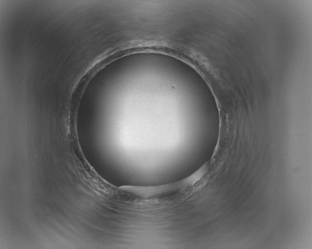 X0000073501165200608140900