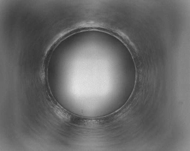 X0000073501167200608140900