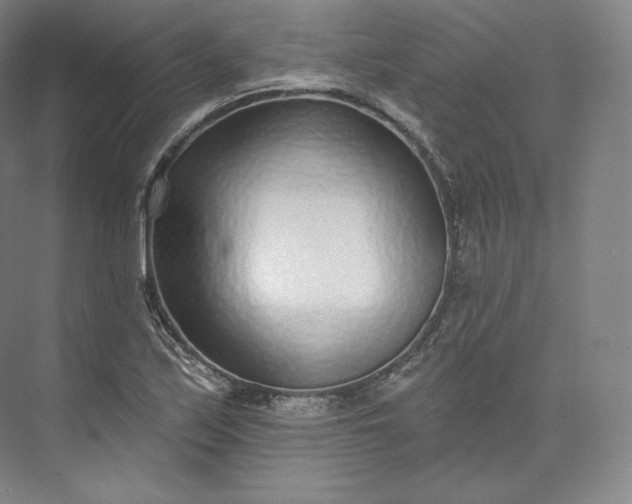 X0000073501171200608140900