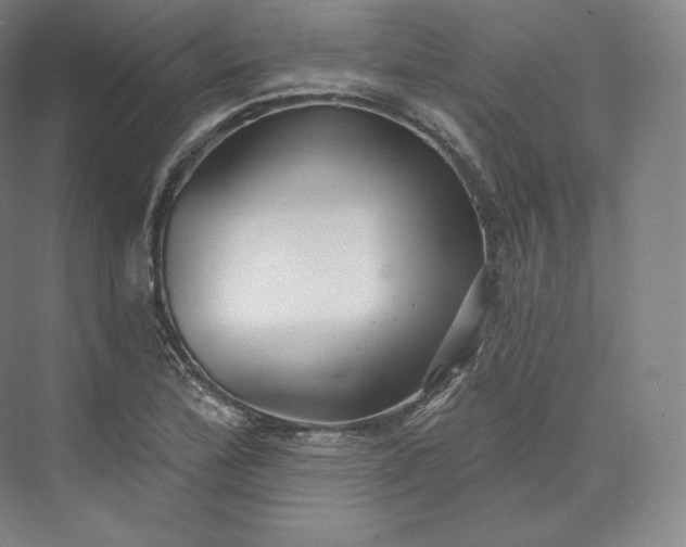 X0000073501172200608140900