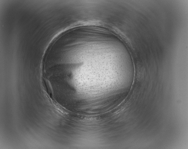 X0000073501174200608140900