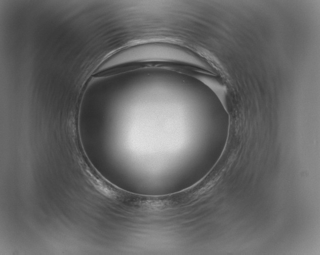 X0000073501177200608140900