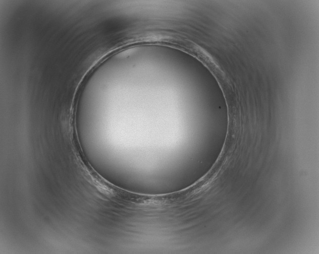 X0000073501178200608140900