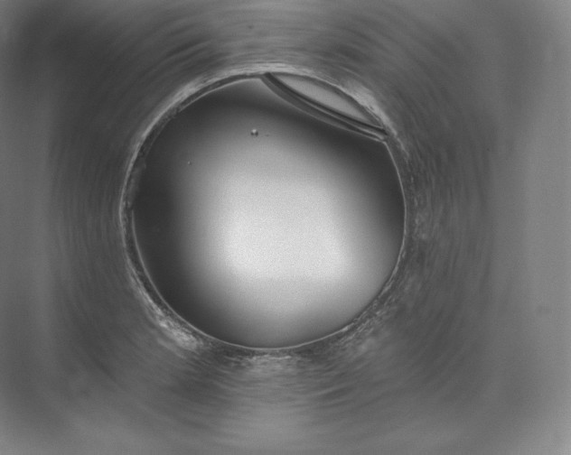 X0000073501181200608140900
