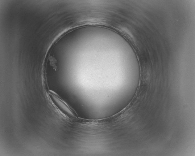 X0000073501182200608140900