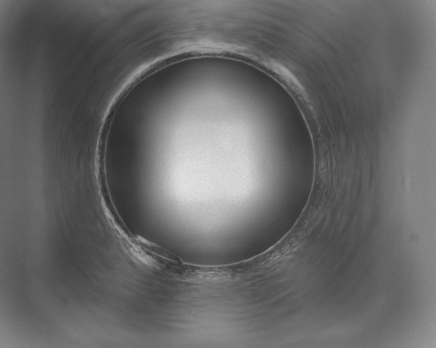 X0000073501183200608140900