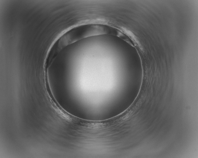X0000073501184200608140900