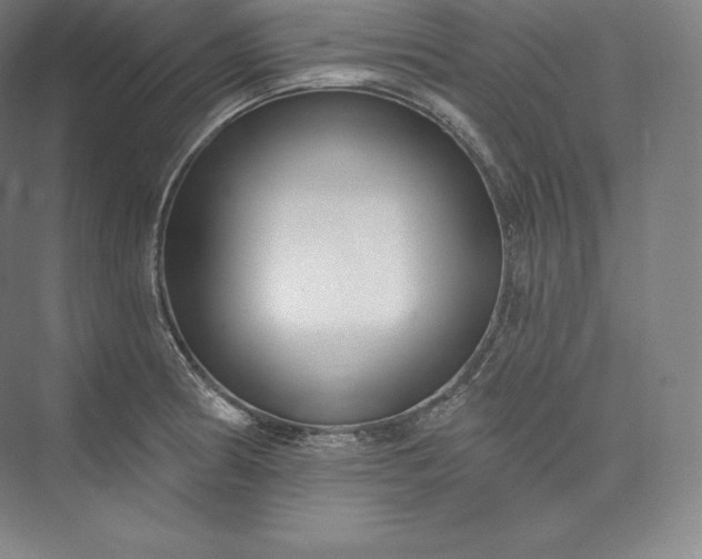 X0000073501186200608140900